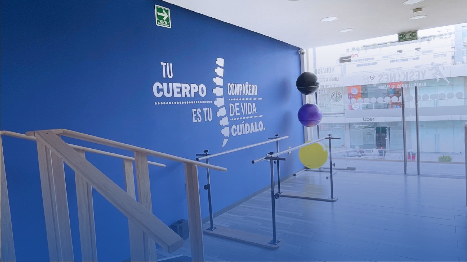 Imagen 5
